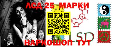 mdma Владимир