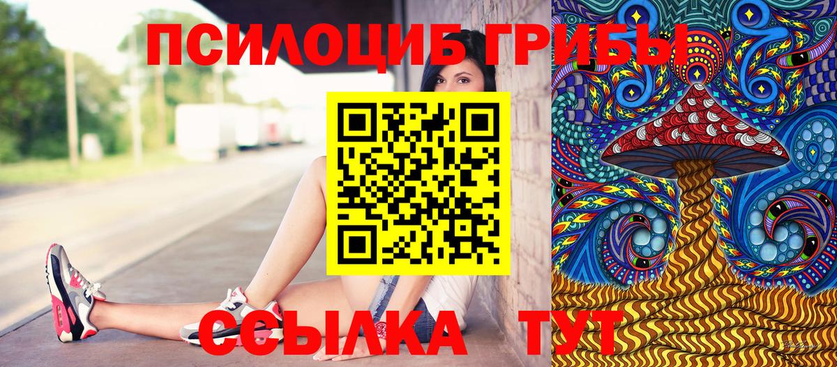 Псилоцибиновые грибы мицелий Кострома