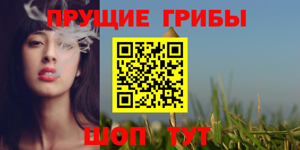 Кострома  Псилоцибиновые грибы Cubensis  Вход с VPN 